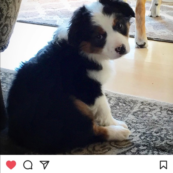 Like me to 💋Bookmark my closet 😍 - Picture 2 of 2